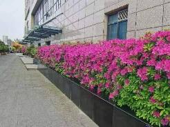 江苏省常州市钟楼区南大街街道怀德中路50-1604招租公告
