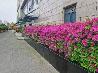 江苏省常州市钟楼区南大街街道怀德中路50-1304招租公告