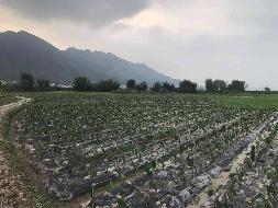 桂林荔浦市修仁镇大榕村1.58亩土地承包经营权流转项目