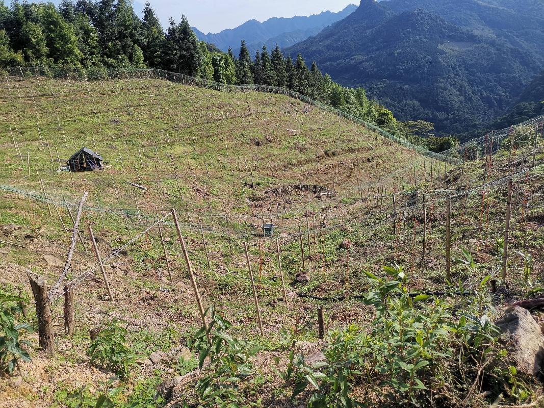 桂林荔浦市蒲芦乡古立村10亩林地承包经营权流转项目