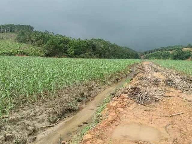 钦州市浦北县安石镇安石社区约29.87亩土地经营权流转项目