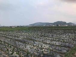桂林荔浦市修仁镇大榕村2.57亩土地承包经营权流转项目