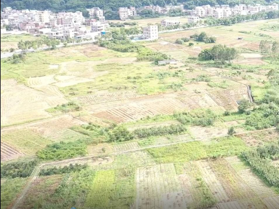 梧州市龙圩区新地镇洞心村348亩水田承包经营权流转项目