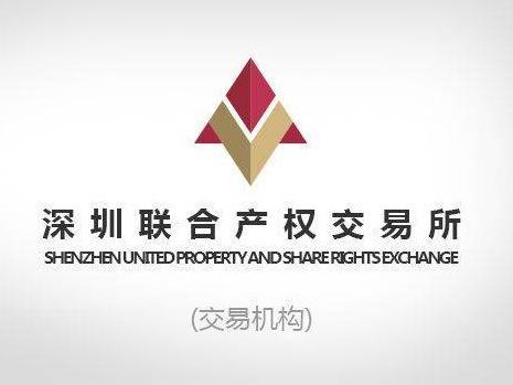 水城深能新能源有限公司49%股权转让公告