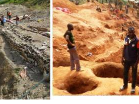 TIETTO MINERALS LIMITED普通股股票25190076股公开征集受让方