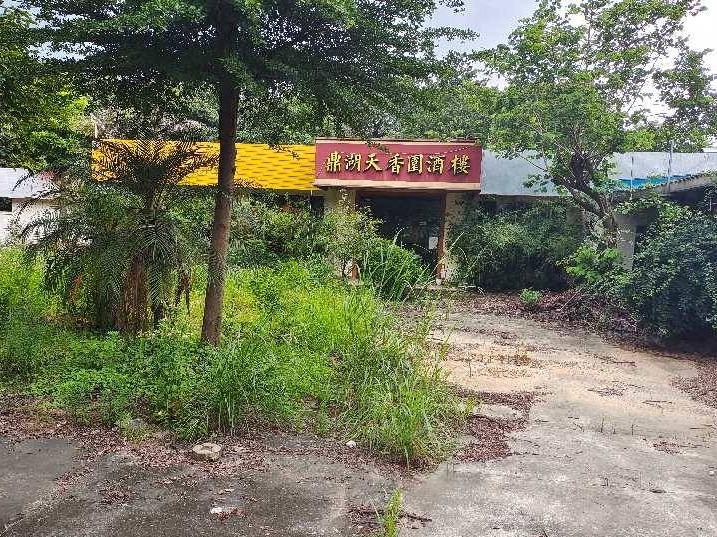 广东肇庆市鼎湖区房屋建筑物—鼎湖区新城39之一区 房产公开招租