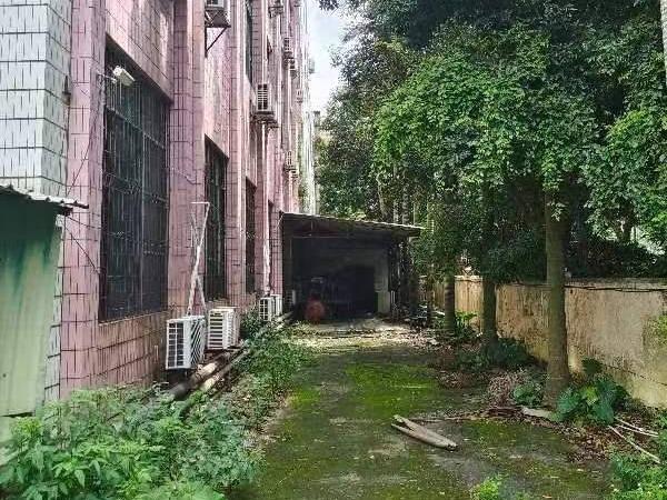 广东肇庆市鼎湖区房屋建筑物—鼎湖区新城39之一区 房产公开招租