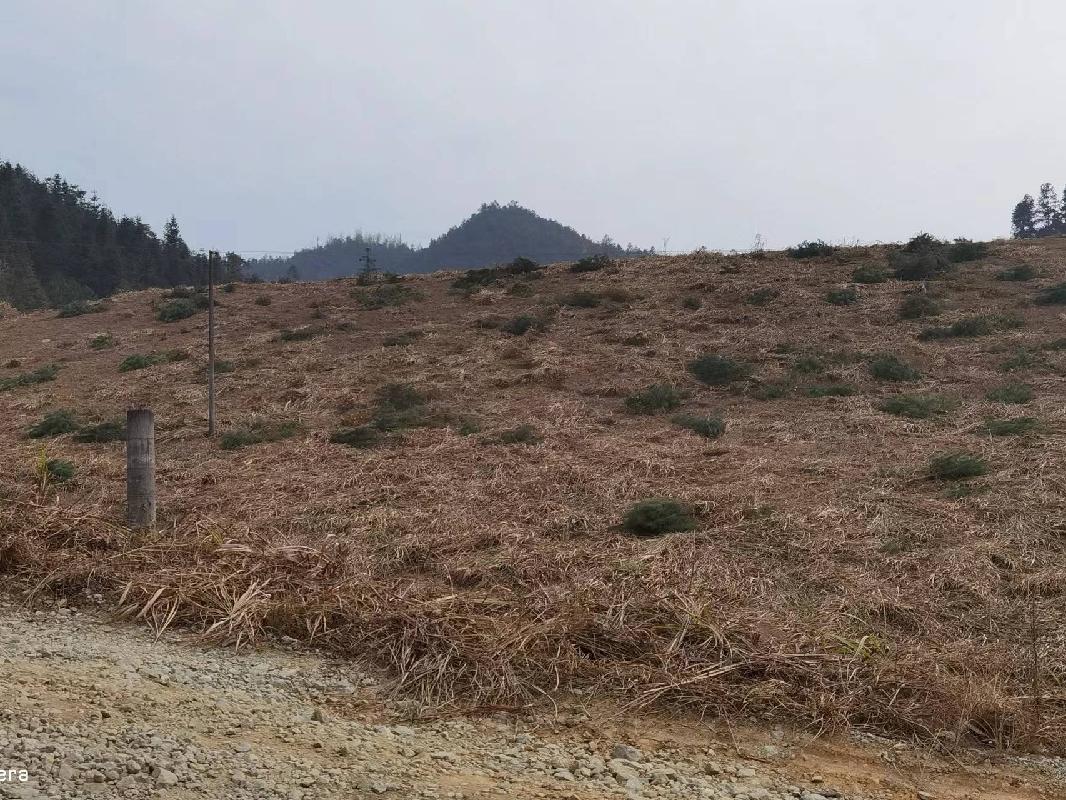 湖南省汝城县小垣钨矿红卫选厂一、二期尾矿库及附属设施和涉及的尾矿资源整体拍卖