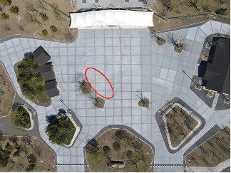 江苏省常州市新北区春江街道北海中路188号新龙生态林核心区南门外广场部分场地招租公告