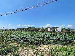 桂平市厚禄乡延寿村36亩养殖水面流转项目