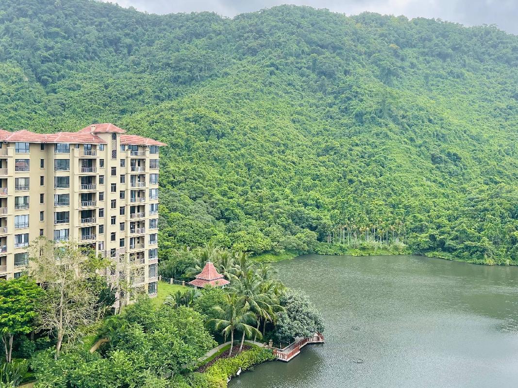 海南省万宁市兴隆旅游区兴梅大道西侧石梅山庄水生活10号楼2单元807房(二次挂牌)