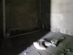 鄂尔多斯市东胜区苏勒德大街南汽贸路西天骏重卡/工程机械配件城7号楼-1至2层-119号房产转让
