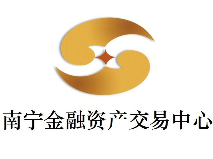 广西融水柳银村镇银行股份有限公司持有的王向债权资产