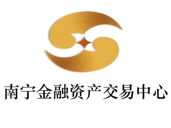 广西融水柳银村镇银行股份有限公司持有的刘飞债权资产