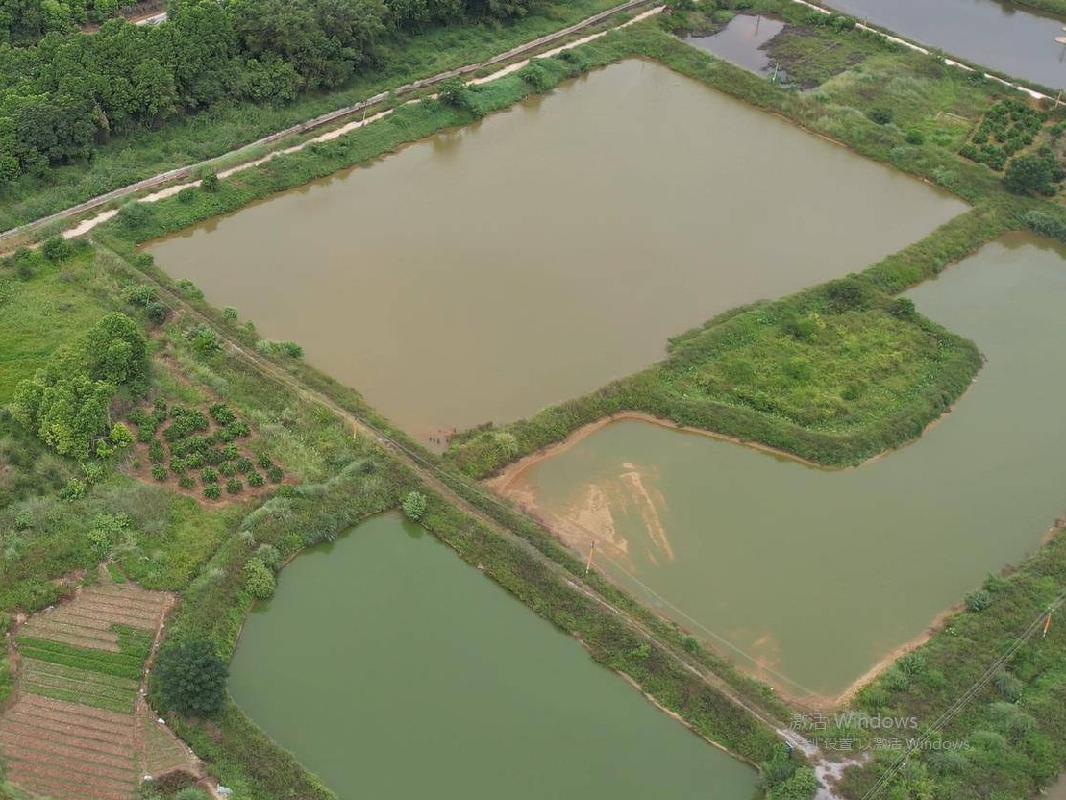 梧州市龙圩区大坡镇交村243亩土地承包经营权流转项目