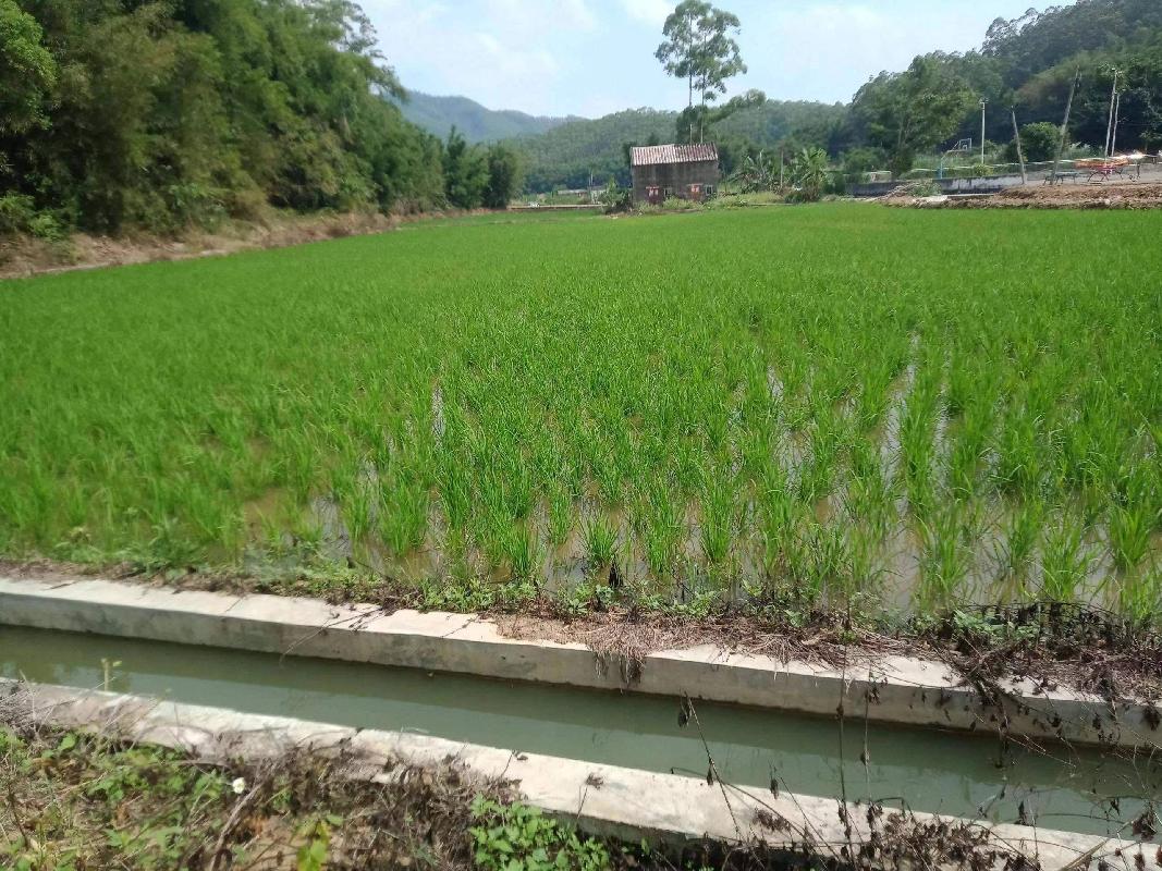 贺州市富川县莲山镇沙洲村约1.08亩土地承包经营权流转项目