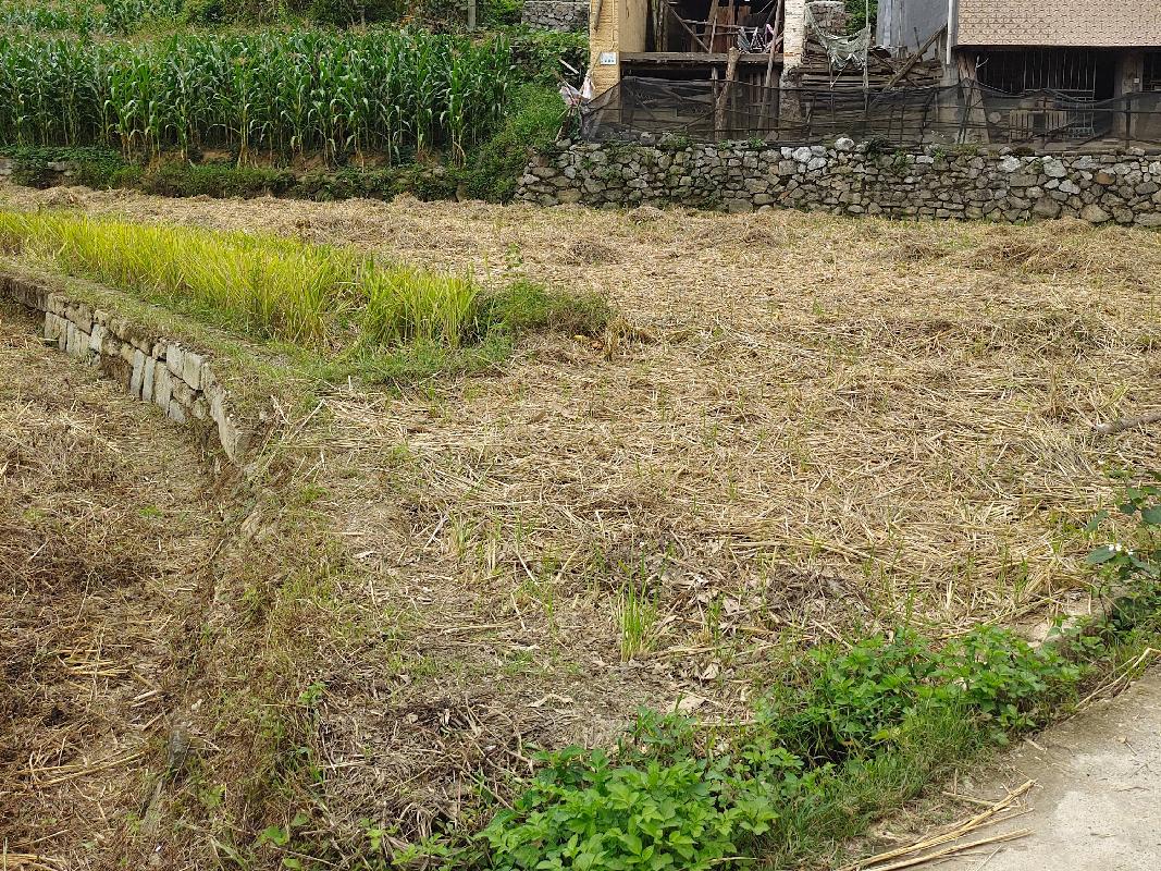 河池市凤山县砦牙乡砦牙村0.37亩土地（承包）经营权流转项目