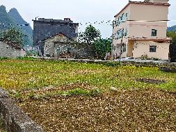 河池市凤山县砦牙乡砦牙村0.52亩土地（承包）经营权流转项目