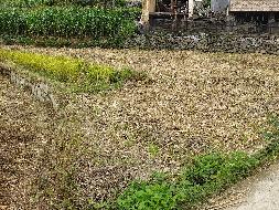 河池市凤山县砦牙乡砦牙村0.37亩土地（承包）经营权流转项目