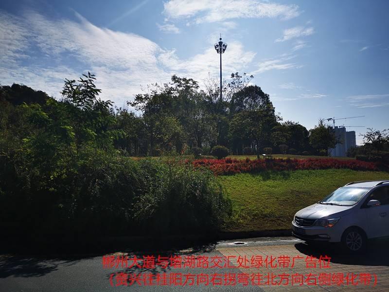 （第二次）郴州大道与增湖路交汇处绿化带广告位有偿使用权拍卖