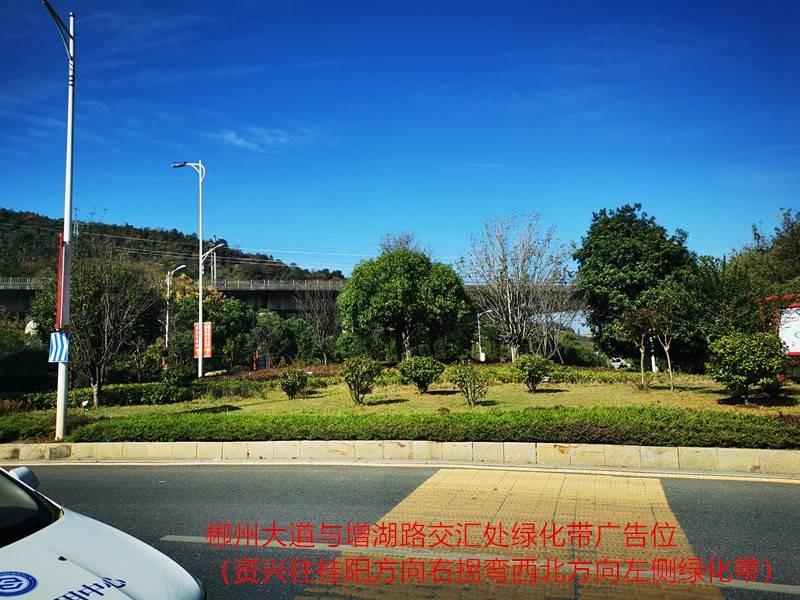 （第二次）郴州大道与增湖路交汇处绿化带广告位有偿使用权拍卖
