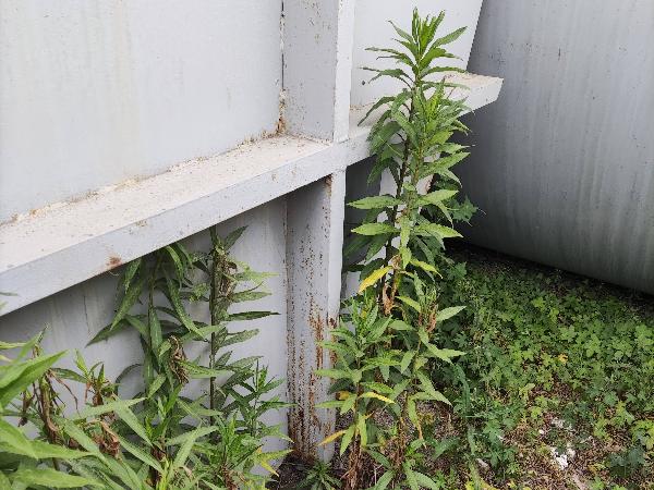 闲置钢罐一批转让公告