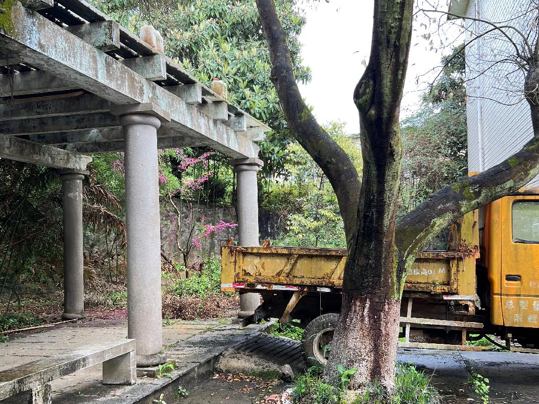 桂林市雁山区雁山街17号雁山养护站房屋招租（10年）项目交易公告