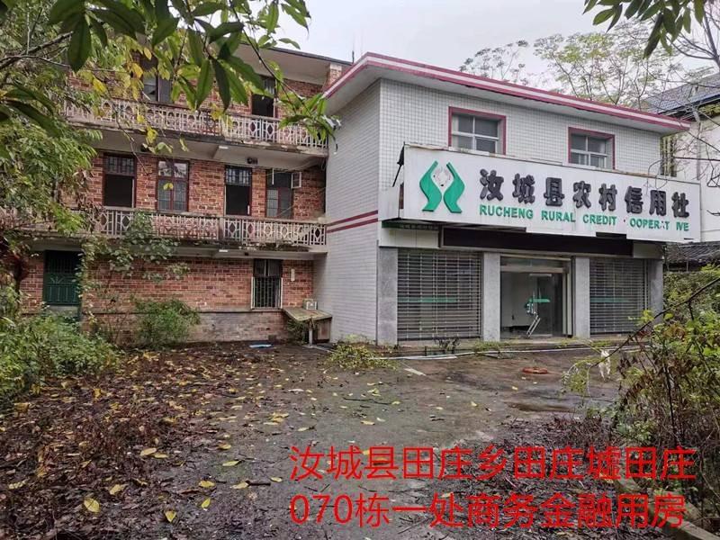 湖南汝城农村商业银行股份有限公司5处房产拍卖