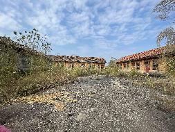 广西壮族自治区兴宾公路养护中心综合培训大楼（1层左侧大厅至12层）及附楼、蒙村旧养护站、古排养护站分别招租项目交易公告