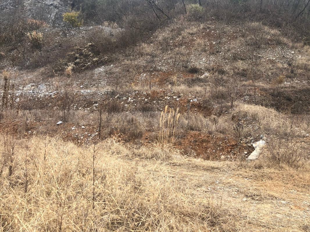 繁昌区峨山镇象形村基建采石场废弃矿山复垦项目所涉石灰岩资源(国资监测编号GR2023AH2002931)