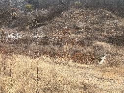繁昌区峨山镇象形村基建采石场废弃矿山复垦项目所涉石灰岩资源(国资监测编号GR2023AH2002931)
