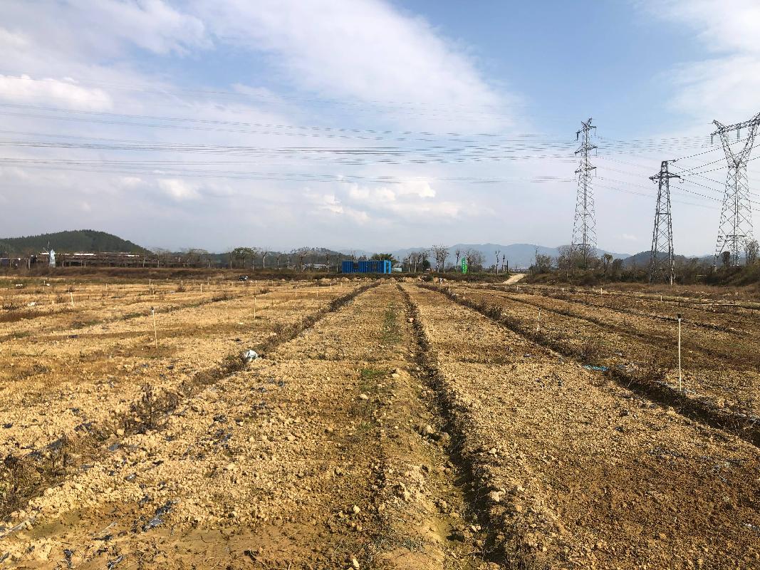 梧州市万秀区夏郢镇450亩土地