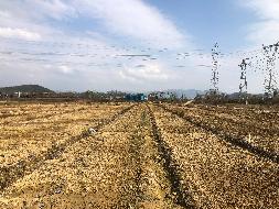 梧州市万秀区夏郢镇450亩土地经营权流转项目