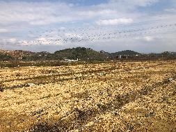 梧州市万秀区夏郢镇450亩土地经营权流转项目