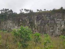 琼海市阳江镇上岭建筑砂岩矿区土质环境恢复治理产生尾料石方资源转让(国资监测编号GR2023HI1000157)