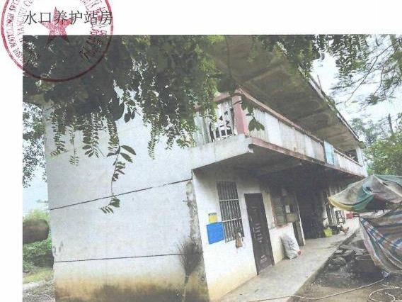 龙州县水口镇(G358线K1937+544 )水口养护站、武德乡科甲村(G219线K9668+683)科甲(旧)养护站、上金乡新旺村(S313线K501+135)新旺养护站招租项目交易公告