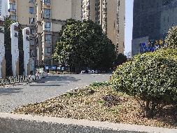 合肥市包河区望江东路9号星隆购物广场商业楼903部分（约360平方米）房产出租公告(国资监测编号GR2023AH2003210)
