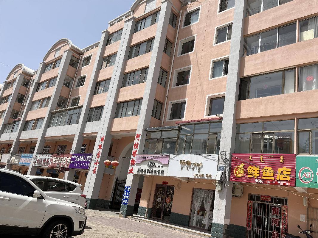 鄂尔多斯市达拉特旗树林召镇210线西国税局住宅楼后，明珠园住宅楼2号楼4单元415号房产转让项目