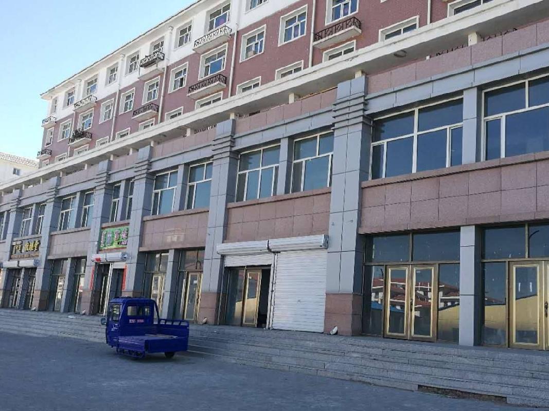 锡林浩特市额办振兴大街振兴社区01011号等48宗实物资产询价项目