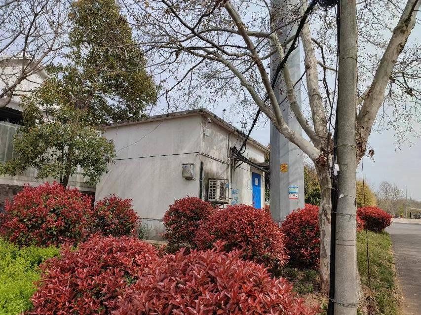 常州市新北区孟河镇孟河林场办公区南侧空地招租公告