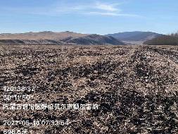 上库力农牧场四队标8