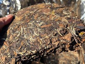资产处置：一批2016年福鼎正山正味寿眉48饼转让公告