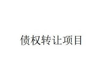蒙商银行股份有限公司持有的鄂尔多斯市大磊房地产开发有限公司债权资产转让项目