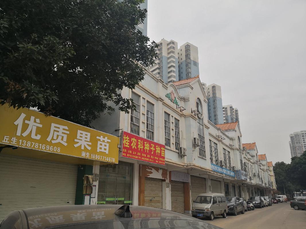 南宁市大学东路174号广西农业科学院东门48间房产招租项目交易公告