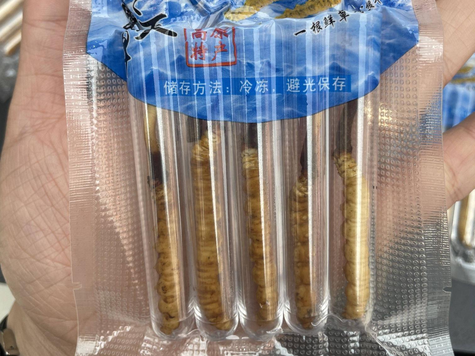 【2袋】生鲜即食虫草 5根/袋（顺丰冷链运送）转让公告