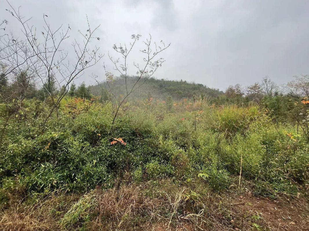 安徽省青阳县小阳山冶金用白云岩矿工业场地建设项目产生的除项目自用外的剩余石料转让公告(国资监测编号GR2023AH2003676)