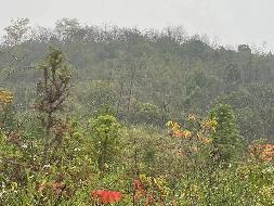 安徽省青阳县小阳山冶金用白云岩矿工业场地建设项目产生的除项目自用外的剩余石料转让公告(国资监测编号GR2023AH2003676)