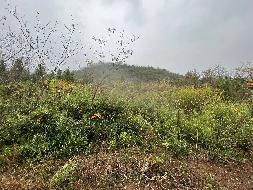 安徽省青阳县小阳山冶金用白云岩矿工业场地建设项目产生的除项目自用外的剩余石料转让公告(国资监测编号GR2023AH2003676)