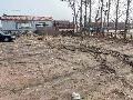 内蒙古通粮集团木里图国家粮食储备库有限公司唐家养殖场招租公告