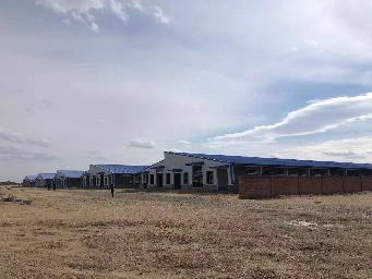 内蒙古自治区通辽市开鲁县建华镇庆发村南闲置牛场转让公告